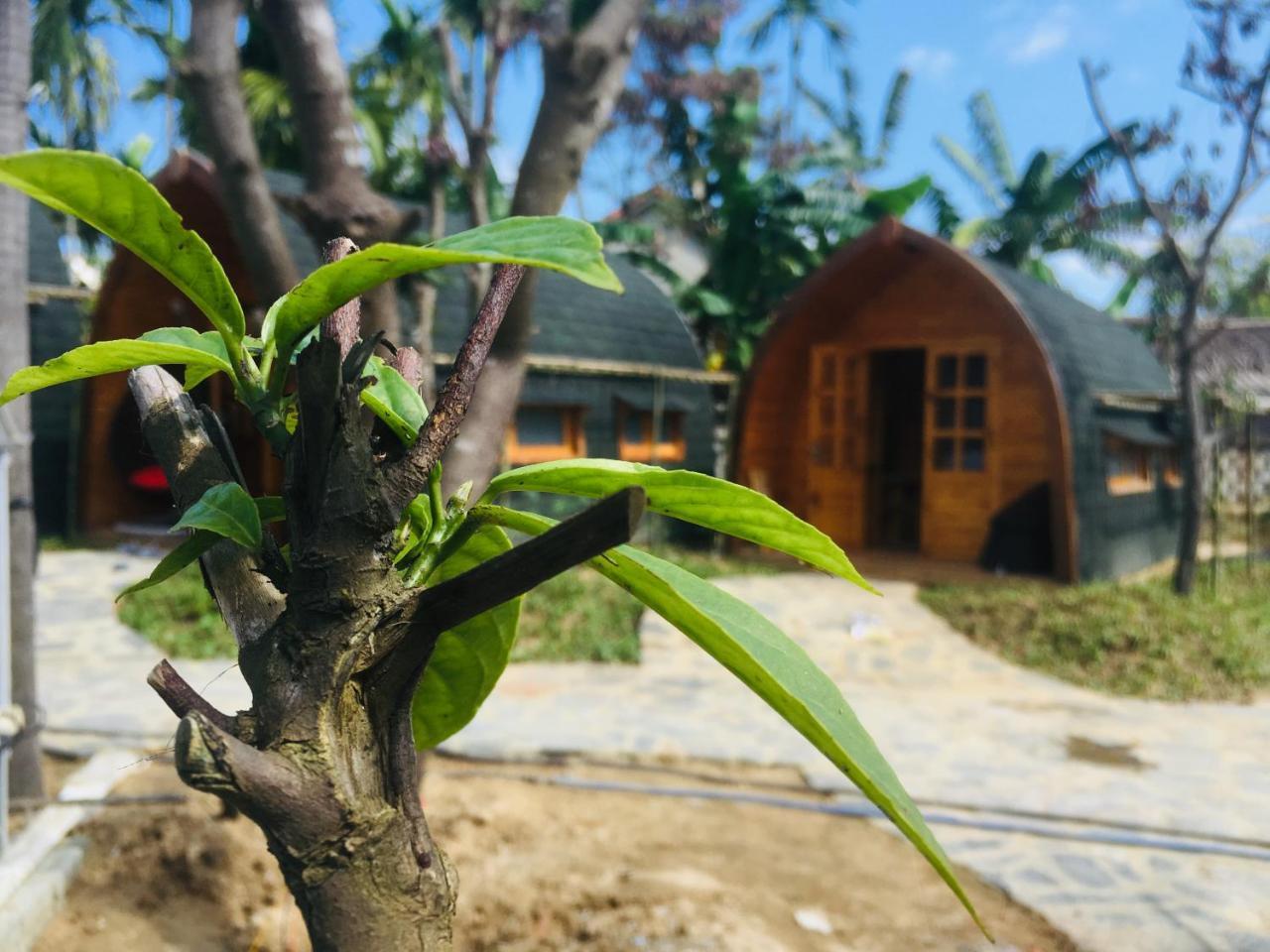 Coco-Farm Hoi An Διαμέρισμα Εξωτερικό φωτογραφία